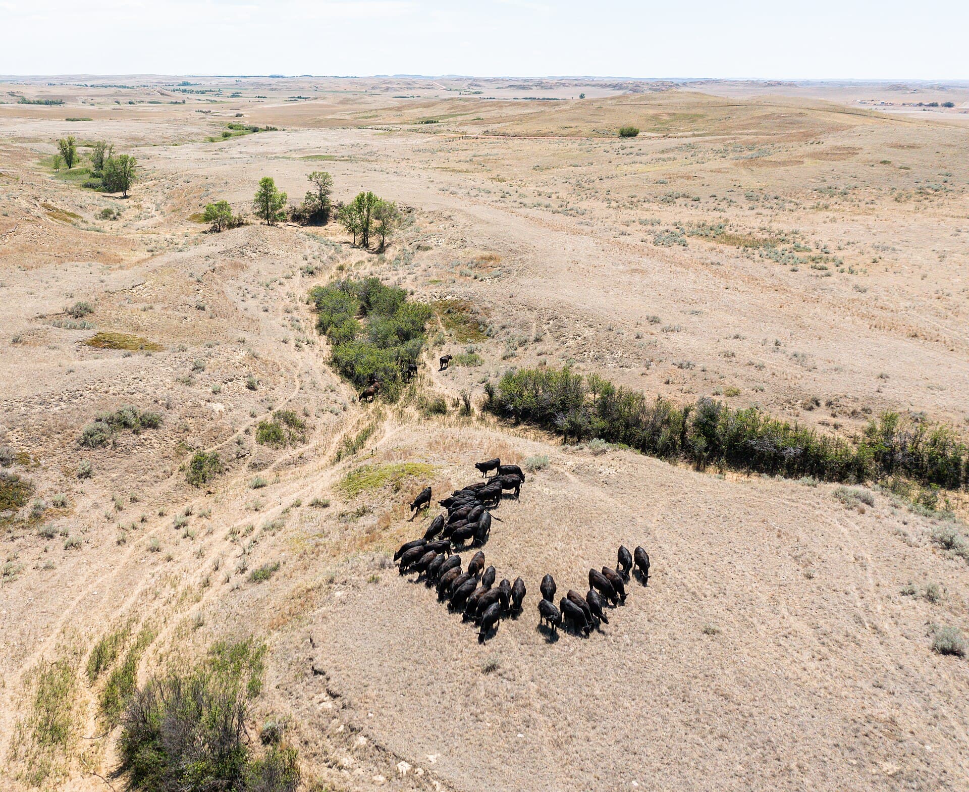 Sítio de 2,5 hectares em Domingos Martins-ES, clima ameno