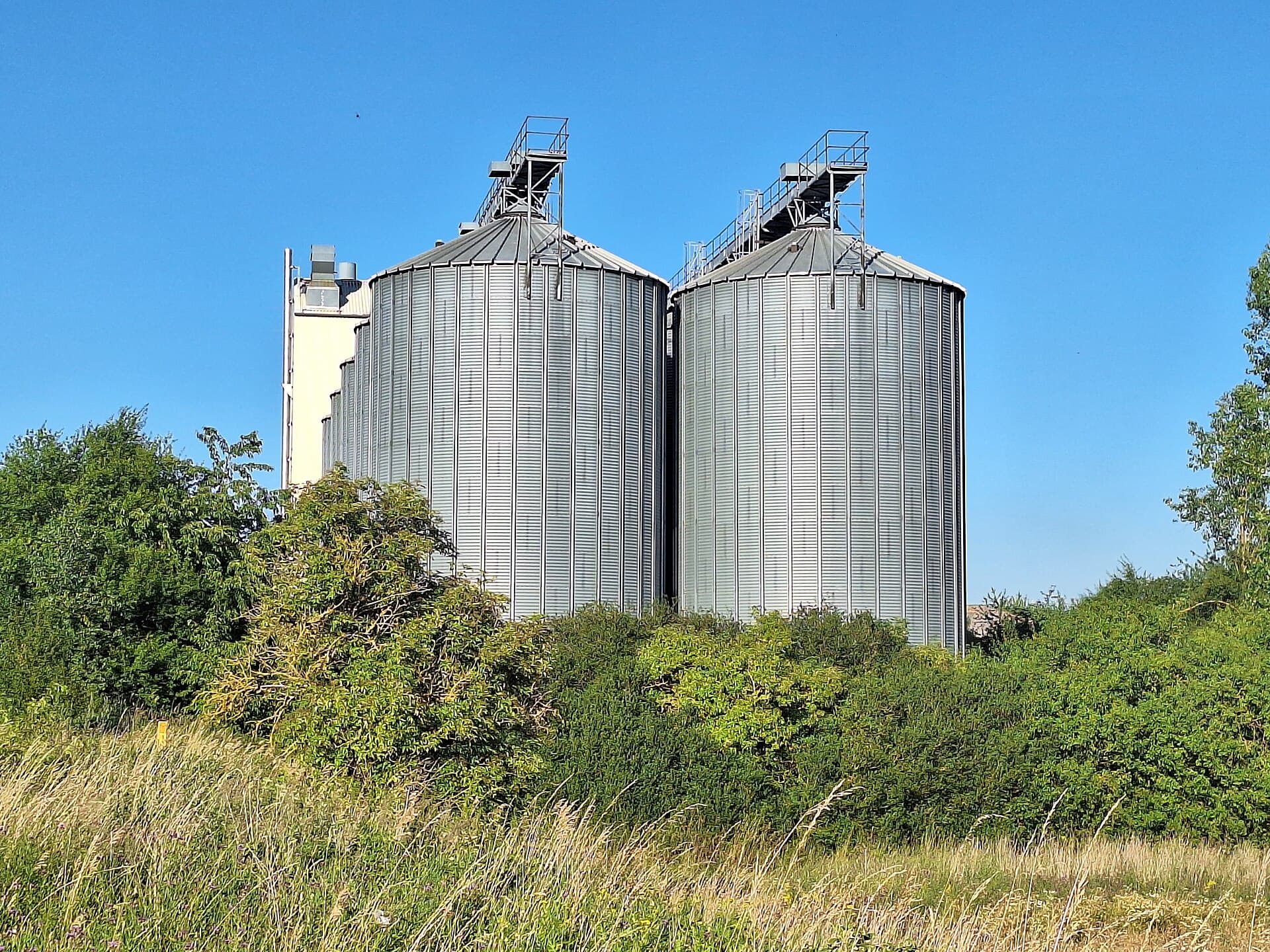Fosfato natural reativo para adubação de base em soja